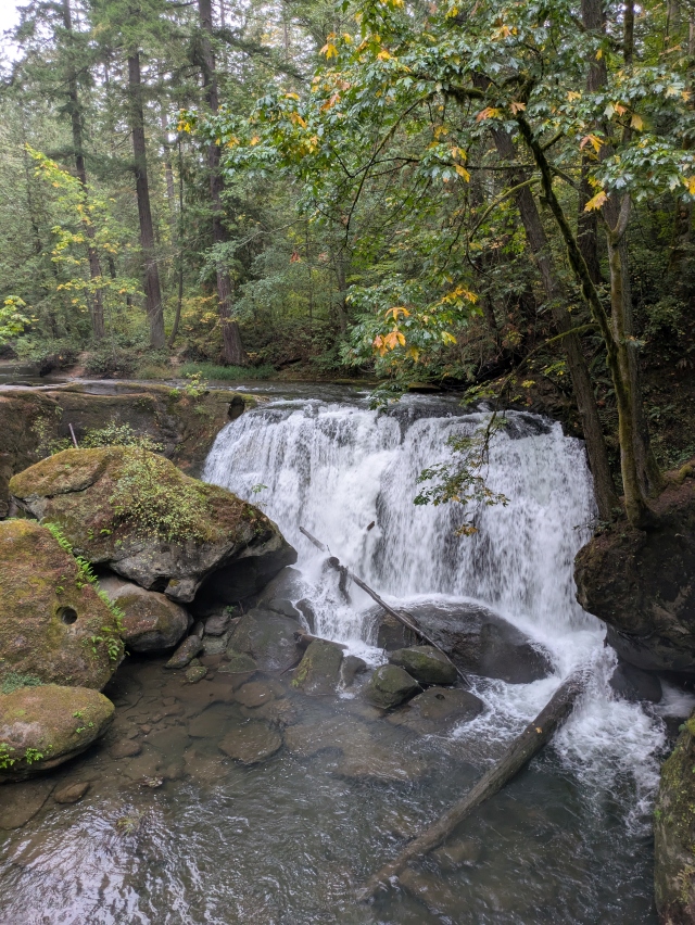 Waterfall cascading over layered rock ledges into a plunge pool, surrounded by moss-covered boulders and dense evergreen trees; mist rises at the base; no visible text; mood peaceful and refreshing